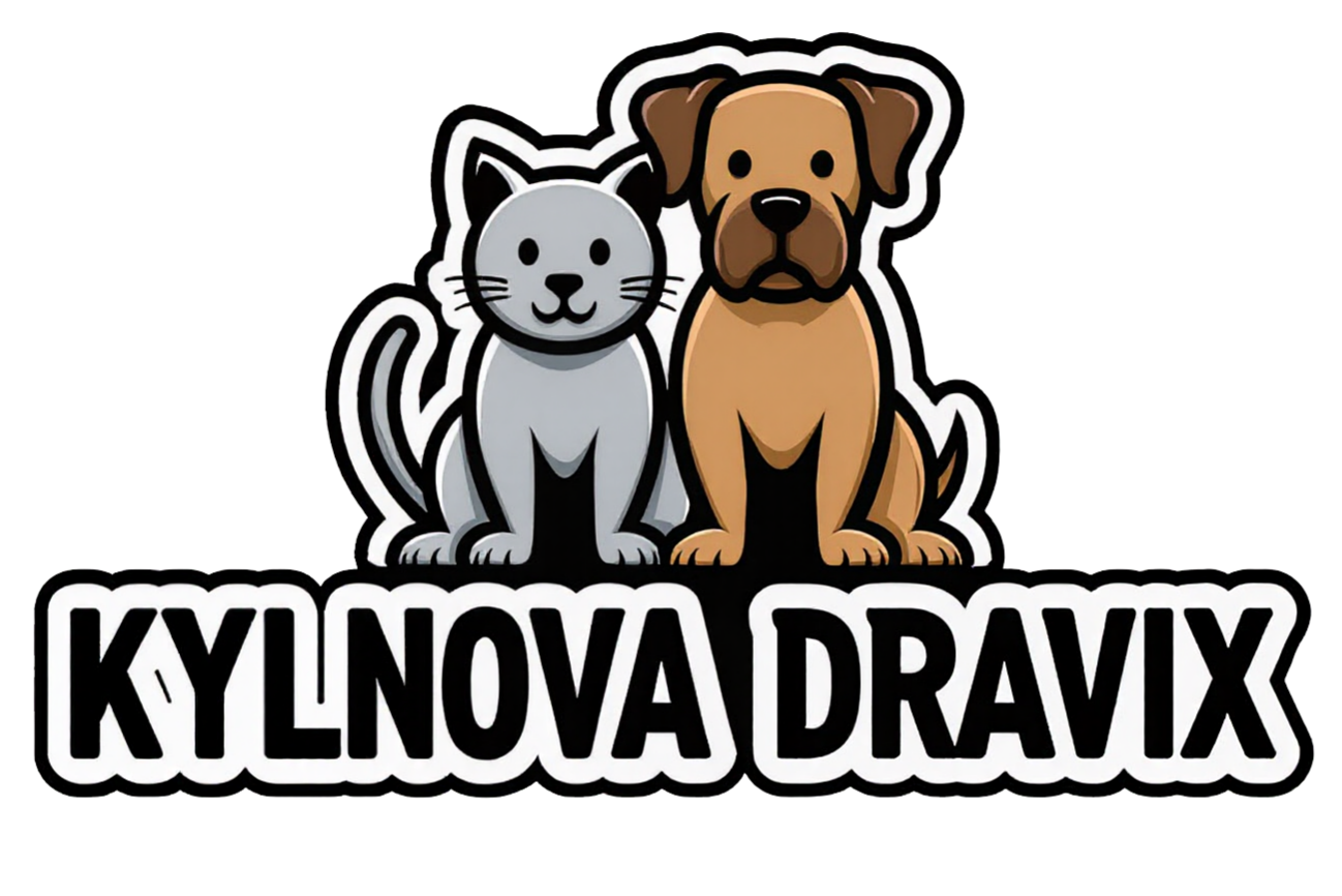 KYLNOVA DRAVIX LLC